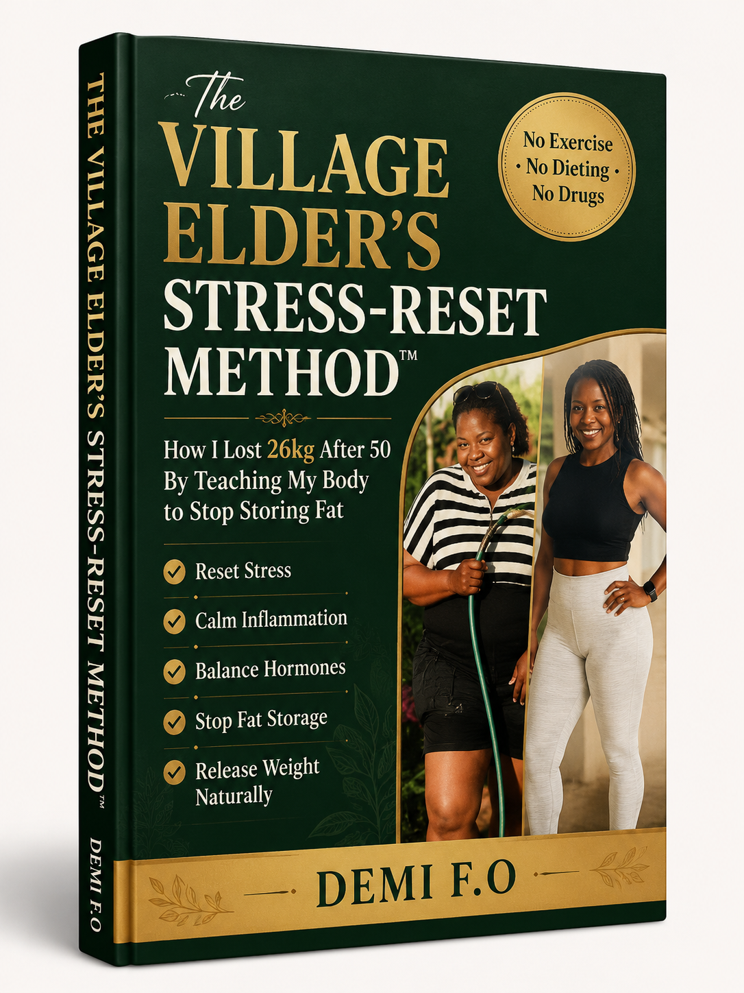 The Stress-Storage Reset — PDF guide cover